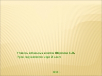 Презентация по окружающему миру Растениеводство