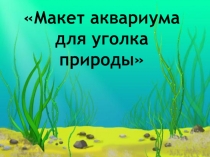 Презентация  Макет аквариума для уголка природы