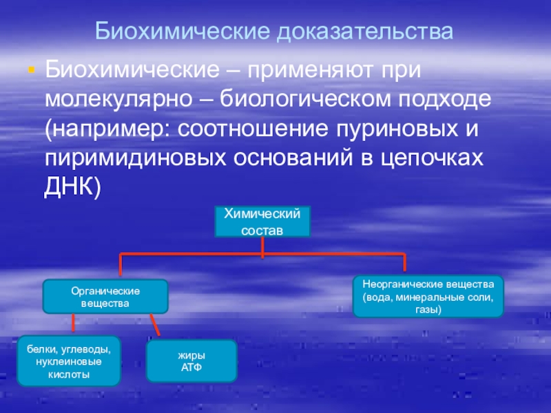 Биологические доказательства. Биохимические доказательства эволюции. Биохимические доказательства примеры. Биохимическиедоказательство эволюции примеры. Молекулярно биохимические доказательства.