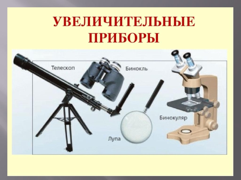 Прибор 5 класс. Увеличительные приборы 5 класс биология бинокль. Увеличительные приборы 5 класс биология. Увеличительные приборы 5 класс биология лупа. Увеличиткльные приборы в биологии 5 классприборы.