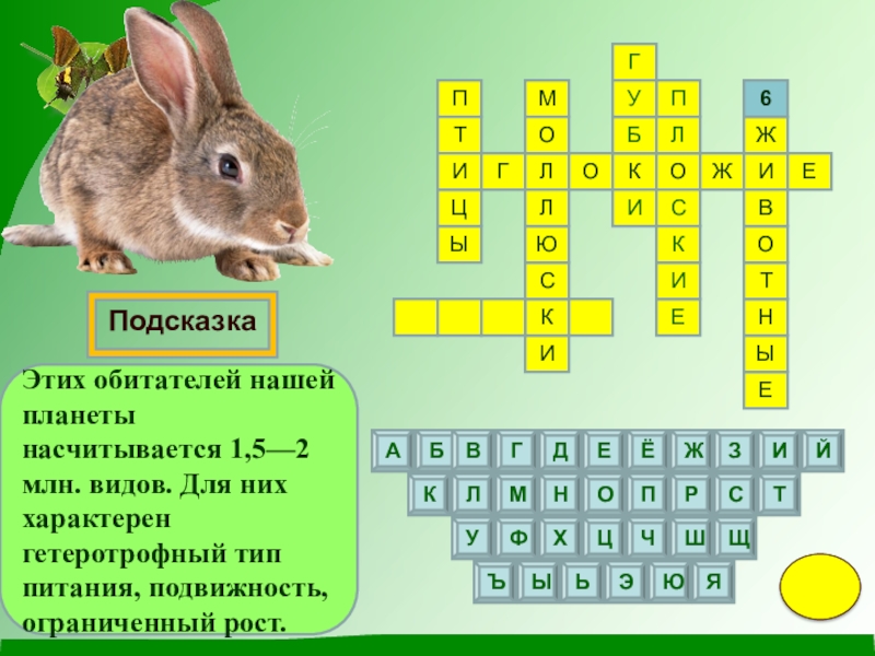 Кроссворд животные 5 класс. Интерактивный кроссворд. Кроссворд мир животных. Кроссворд про животных 7 класс. Кроссворд про животных 5 класс.