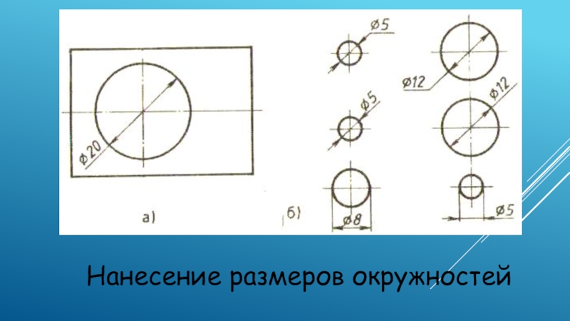 Чертеж окружности и круга