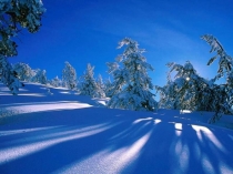 Презентация к проекту Это чудо...белый снег(4 класс)