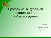 Презентация для защиты авторской программы на городской ярмарке пед.идей