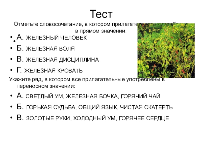 Тест сильнейший. Какое прилагательное употреблено в прямом значении. Отметь словосочетание в котором. Имена прилагательные употреблены в прямом значении. Отметьте словосочетание.