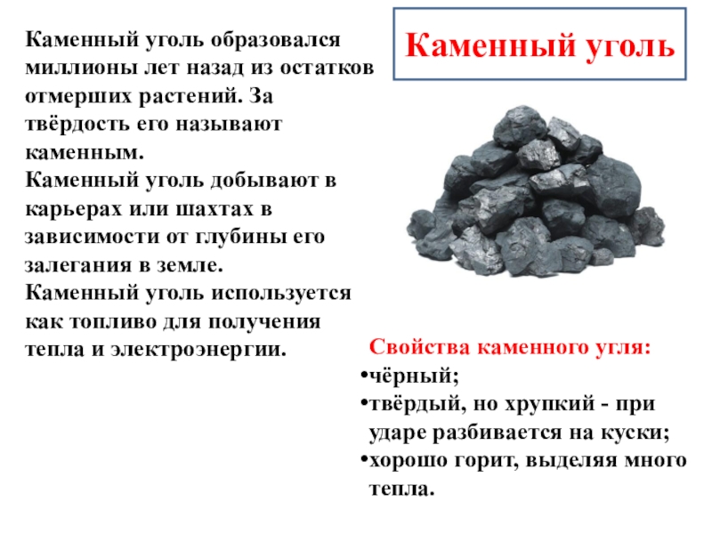 Образование залежей каменного угля. Каменный уголь состав схема. Каменный уголь образовался из. Происхождение угля в природе. Описание угля.
