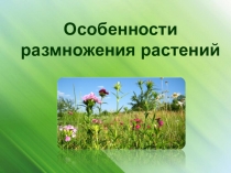 Презентация по биологии на тему: Особенности размножения растений (6 класс, ФГОС)