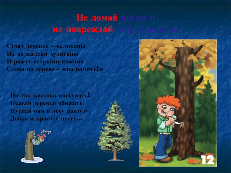 Текст деревья в лесу. Дерево правил поведения в лесу. Берегите деревья стихи. Нельзя повреждать деревья. В лесу нельзя.