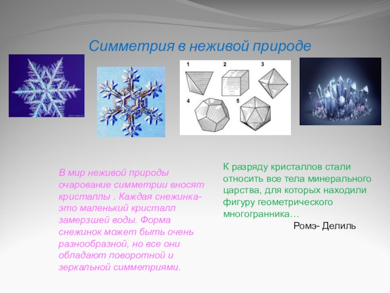 Симметрия в живой и неживой природе презентация