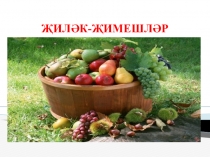 Презентация по окружающему миру Кешенең көзге эшләре