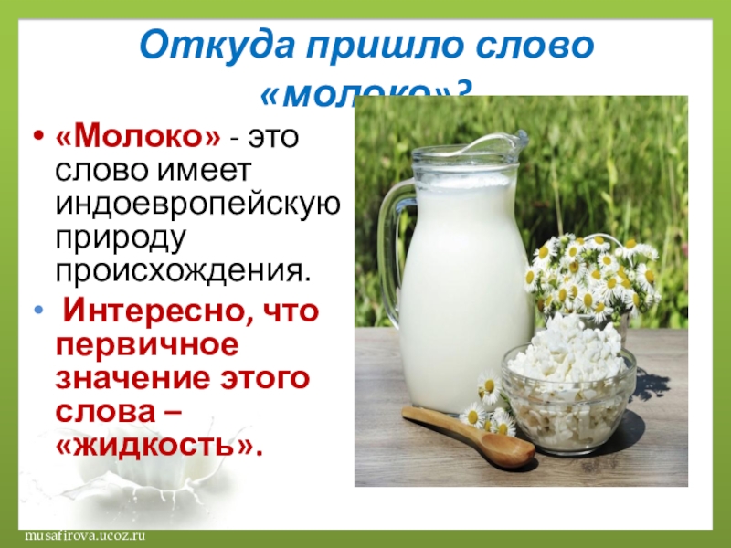 Молоко текст. Откуда пришло слово молоко. Молоко кальций. Происхождение слова молоко. Молоко это хорошо.