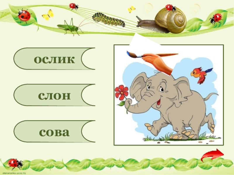 Слон схема слова 1. Загадку про ослика, слона. Схема слова ослик. Сова и слон. Составить схему на ослик.