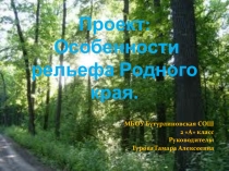 Презентация по окружающему миру на тему Рельеф родного края