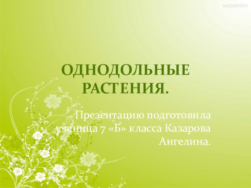 Презентация на тему класс однодольные 6 класс