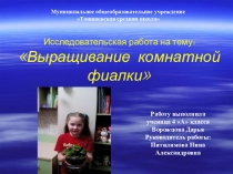 Презентация исследовательской работы Фиалка