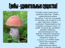 Презентация по окружающему миру на тему: Съедобные и несъедобные грибы