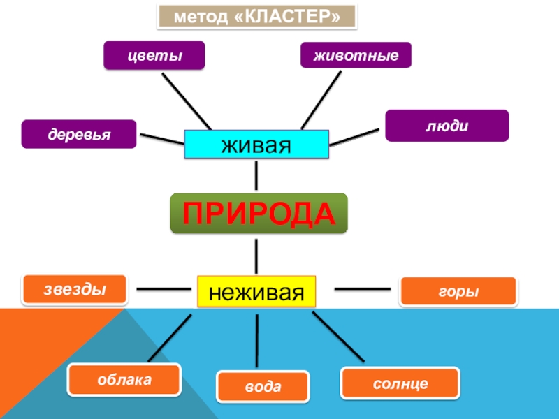 Схема окружающий мир 2 класс. Кластер природа. Кластер Живая и неживая природа. Кластер на тему Живая и неживая природа. Кластер на тему природа.