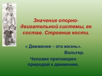 Презентация у уроку Значение опорно-двигательной системы
