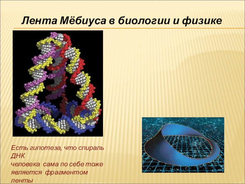 Лента мебиуса проект 6 класс