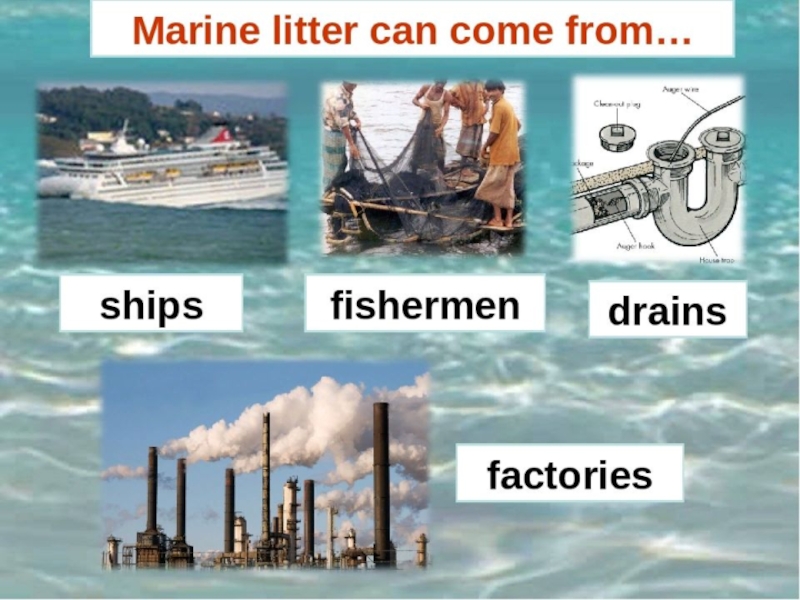 Marine litter презентация