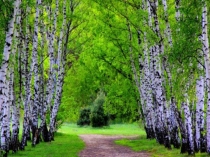 Презентация Россия – Родина моя