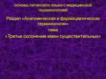 Презентация теоретического занятия по теме Третье склонение имен существительных