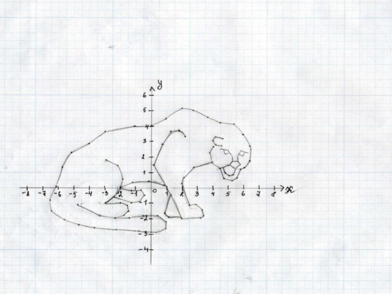 Координатная плоскость рисунок ландыш