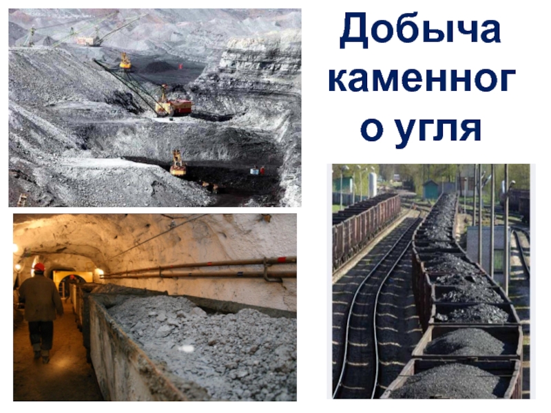 Каменный уголь кузбасса. Добыча каменного угля. Добыча каменного угля. Каменный уголь австралии. Добыча угля в шахте.