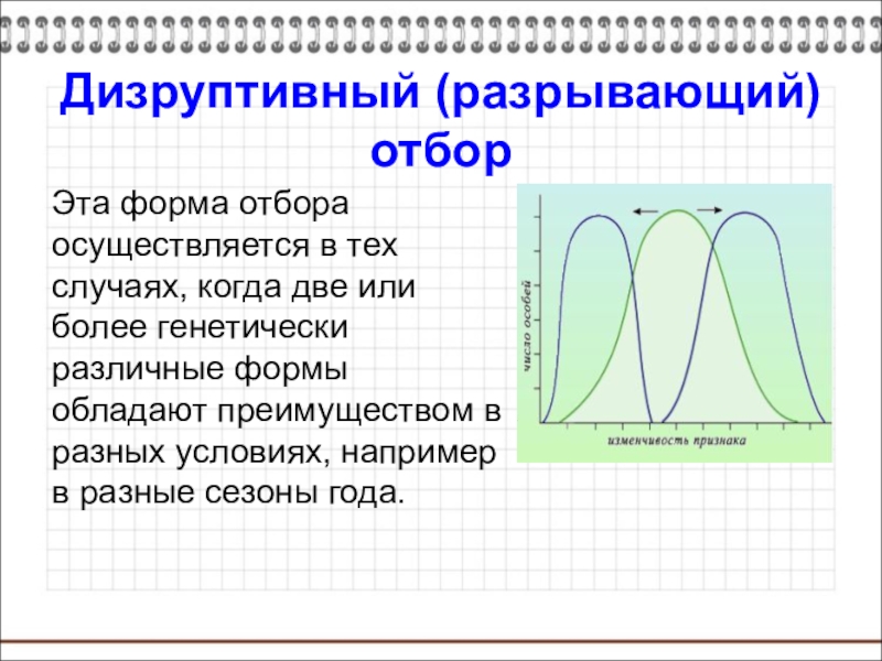 Дизруптивный отбор рисунок