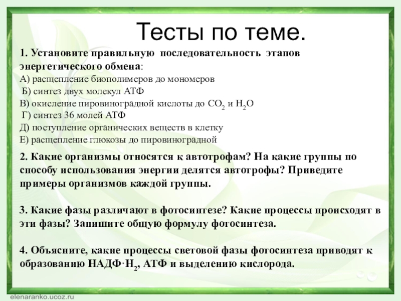 Последовательность энергетического обмена. Установите последовательность этапов энергетического обмена. Установите последовательность стадий энергетического обмена. Последовательность процессов энергетического обмена в клетке. Установите правильную последовательность энергетического обмена.