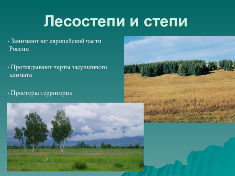 Главная особенность природной зоны. Лесостепной ландшафт. Степи и лесостепи России. Зоны лесостепей и степей. Природные зоны степи и лесостепи.