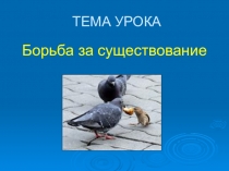 Презентация по биологии Борьба за существование (9 класс)