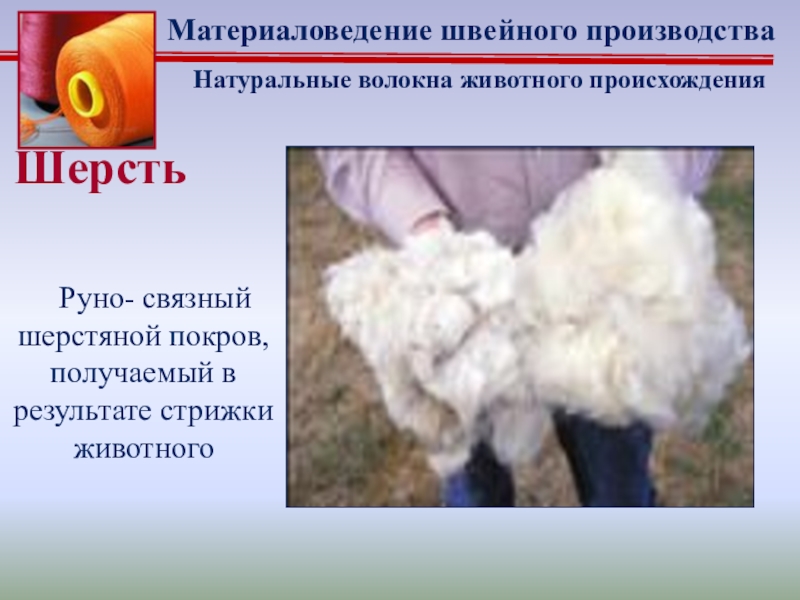 Натуральные волокна шерсть. Шерсть натуральное волокно животного происхождения. Волокна овечьей шерсти. Материаловедение шерсть волокно.