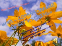 Презентация Корень. Побег, урок-соревнование.