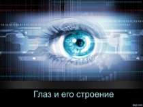 Презентация по биологии и физике на тему Строение глаза (8, 11 класс)