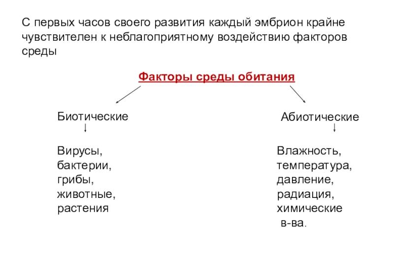 Факторы развития организма