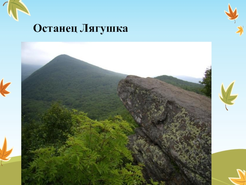 Останец лягушка. Останец лягушка Южно-Сахалинск. Останец лягушка на Сахалине. Скальный останец лягушка Сахалин. Скала лягушка Сахалин.