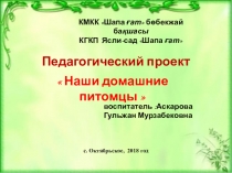 Презентация к проекту.Домашние питомцы