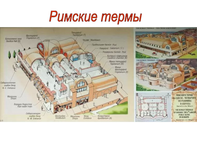 Термы каракаллы рисунок