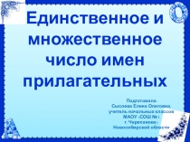 Презентация по русскому языку на тему Единственное и множественное число имён прилагательных