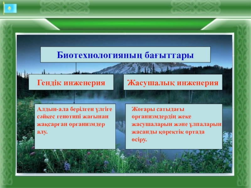 Гендік инженерия және биотехнология. Гендік инженерия презентация. Биотехнология дегеніміз не. Селекция әдістері. Биотехнология деген не.