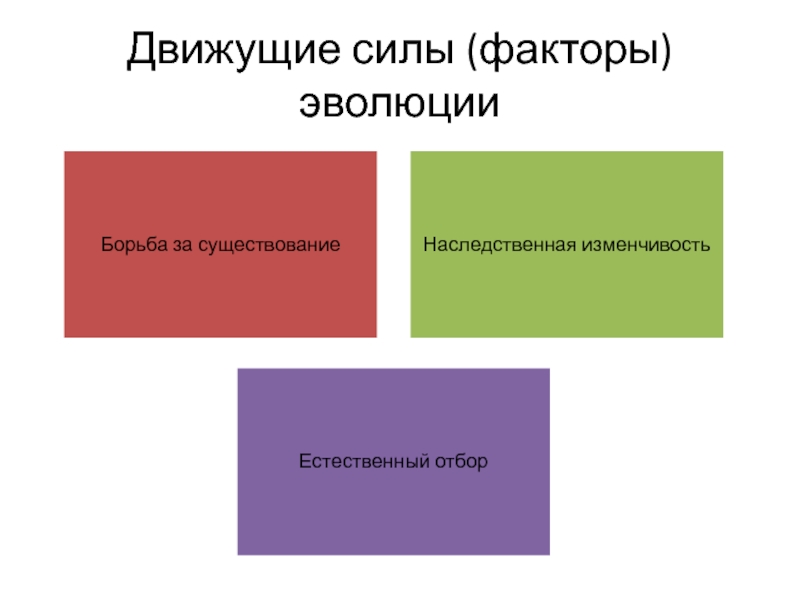 Движущие силы и факторы эволюции презентация