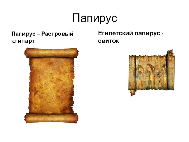 Папирус это история 5 класс. Египетский папирусный свиток рисунок легкий. Папирус Керчь. Папирус Толковый словарь.