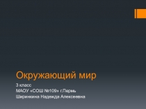 Презентация по окружающему миру Растения-производители
