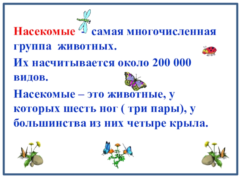 Самая многочисленная группа животных на земле. Какая группа животных самая многочисленная. Тип членистоногие. Многочисленная группа животных. Наиболее многочисленная группа животных.