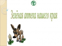 Презентация Зеленая аптека нашего края