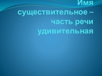 Презентация по русскому языку Имя существительное(4 - 5 класс)