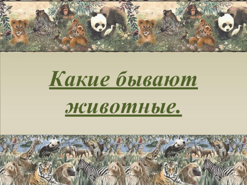 Окружающий мир какие бывают животные презентация 2 класс плешаков