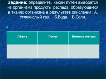Презентация по биологии 8 класс