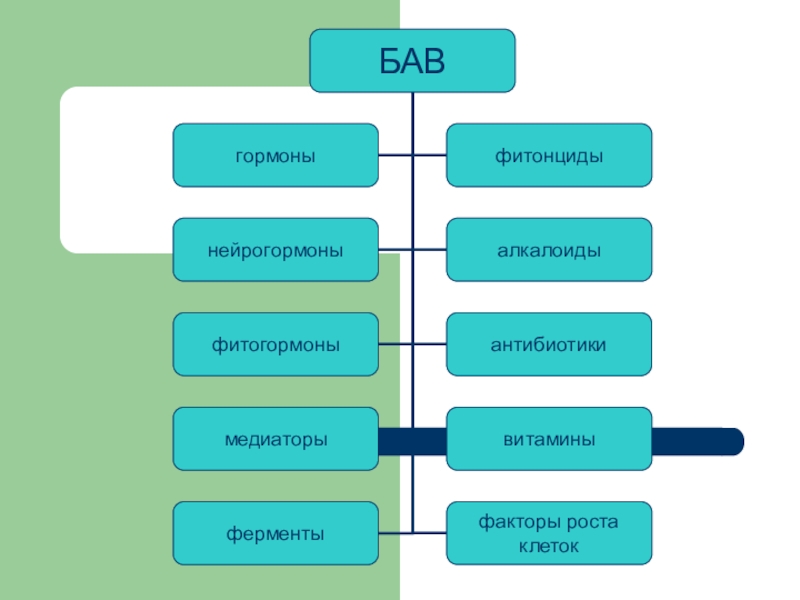 Биологически активные вещества презентация 10 класс